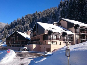 Studio cabine cosy pour 4 pers. à Arêches-Beaufort, terrasse, proche pistes et navette gratuite - FR-1-342-175